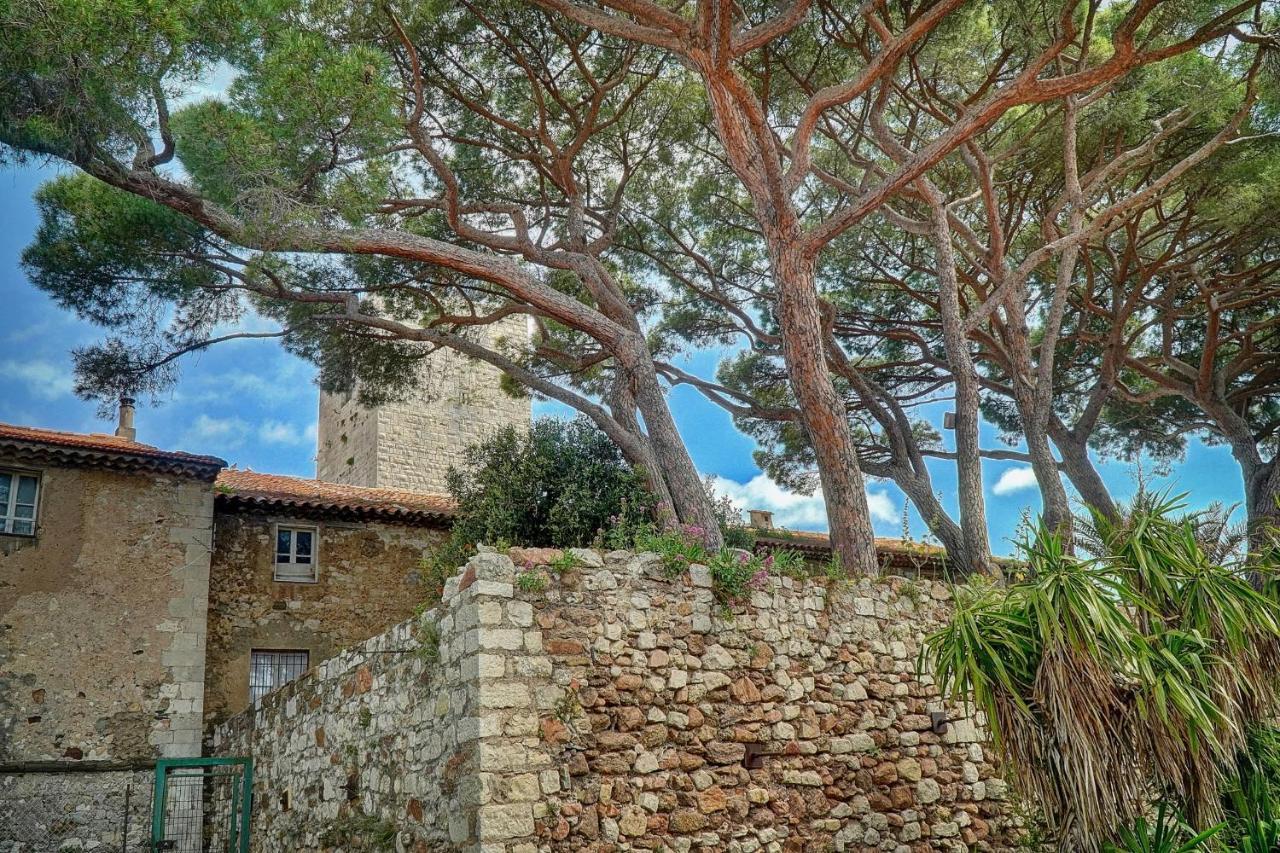 Immogroom - 5 Min From Beaches - Suquet - Ac カンヌ エクステリア 写真